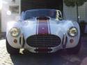 17765Cobra_141.JPG