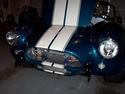 18398cobra_front.jpg