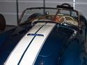 18398cobra_hood.jpg