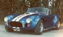 18529427_Cobra.JPG