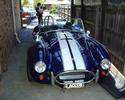 19219accobra.jpg