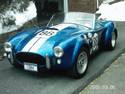 19270Cobra_-_my_Contemp_with_stripes_decals_2.jpg
