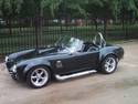 19477Cobra1.jpg