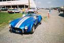 19596Bluecobra.jpg