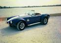 19842cobra_on_beach.jpg