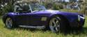20004Cobra_painted_007.jpg