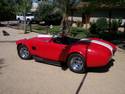 20330Cobra1.jpg