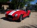 20330Cobra2.jpg