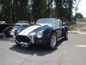 20370Cobra_azul_cobra_rojo_y_ford_T_003.jpg