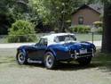 20766Cobra49.jpg