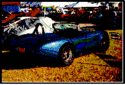 21074cobra_1_.gif