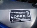 21312Cobra_2005_Pictures_017.jpg
