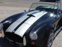 215691966_cobra_done0003.jpg