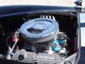 215691966_cobra_done0005.jpg