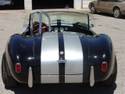 215691966_cobra_done0009.jpg