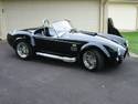 21597Cobra_side.JPG
