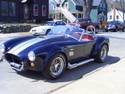 22893cobra_032.jpg