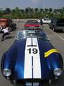 22918cobra_038.jpg