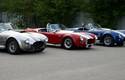23564Red_Cobra_with_two.jpg