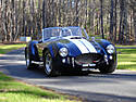 427_Cobra_800x600.jpg