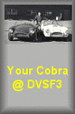 9454but-cobra.gif