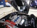 9976Polished_underhood.jpg