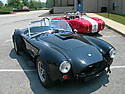 Billy_Sutton_and_My_Cobra_004.jpg