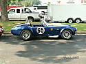 Cobra_0066.jpg