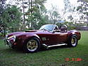 Cobra_0122.jpg