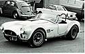 Cobra_hood_scoop_first_427.jpg