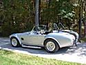 Fall06-Cobra.JPG