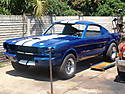 MUstang_pic_2.JPG
