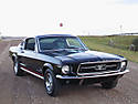 Mustang2.jpg