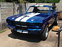 Mustang_pic.JPG