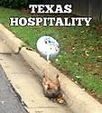 Texas_Hospitality.jpg