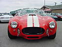 accobra001.jpg