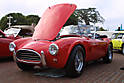 shelby-cobra-4.jpg