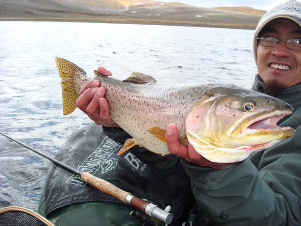 user42018_pic4115_1284508126