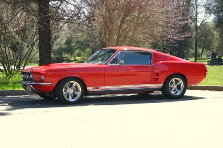 NorCal_Cobra_Group_Picnic_2009_003