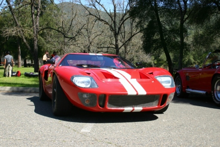 NorCal_Cobra_Group_Picnic_2009_004