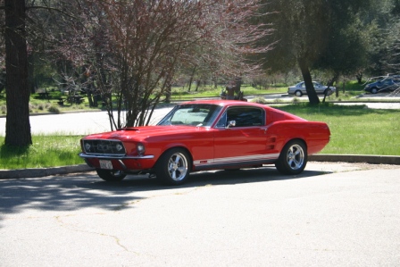 NorCal_Cobra_Group_Picnic_2009_006