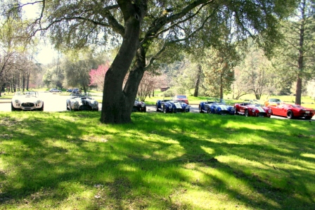 NorCal_Cobra_Group_Picnic_2009_009