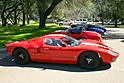 NorCal_Cobra_Group_Picnic_2009_005.jpg