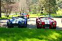 NorCal_Cobra_Group_Picnic_2009_007.jpg