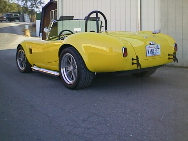 10180cobra_pics_044