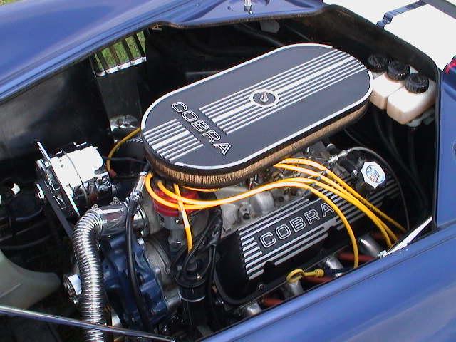 13009plants_cobra_14