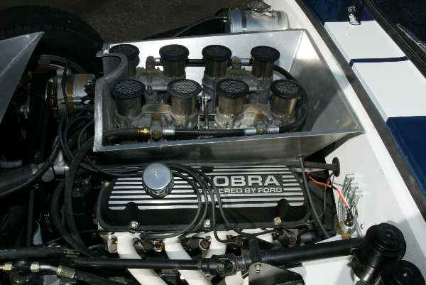 cobra6