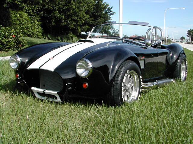 14389cobra1