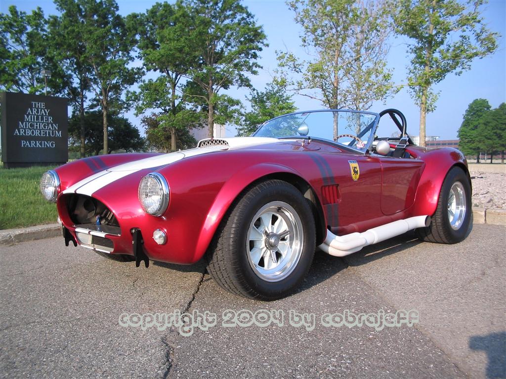 10170Cobra_am_Large_