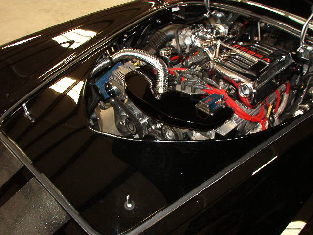 22068Copy_2_of_IM0020611